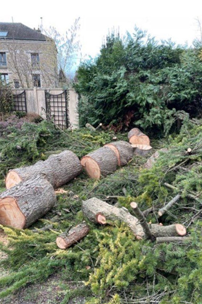 Service d’abattage d’arbres à Lorient